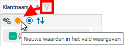 Het zonnetje in het filtervenster waarmee u nieuwe waarden wel of niet automatisch toevoegt